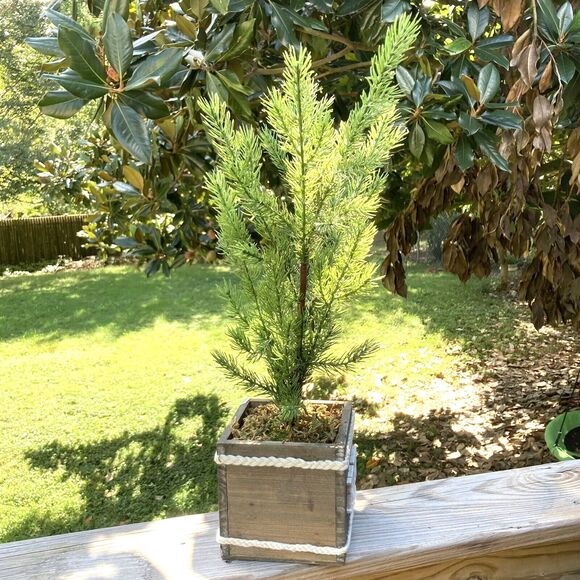 HOPE Artificial Plant Flower Pot Box 5 x 5 x 5 in 22 inches Tall - Picture 6 of 8